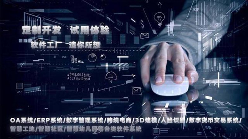 定制软件系统的未来之路：从传统到智能