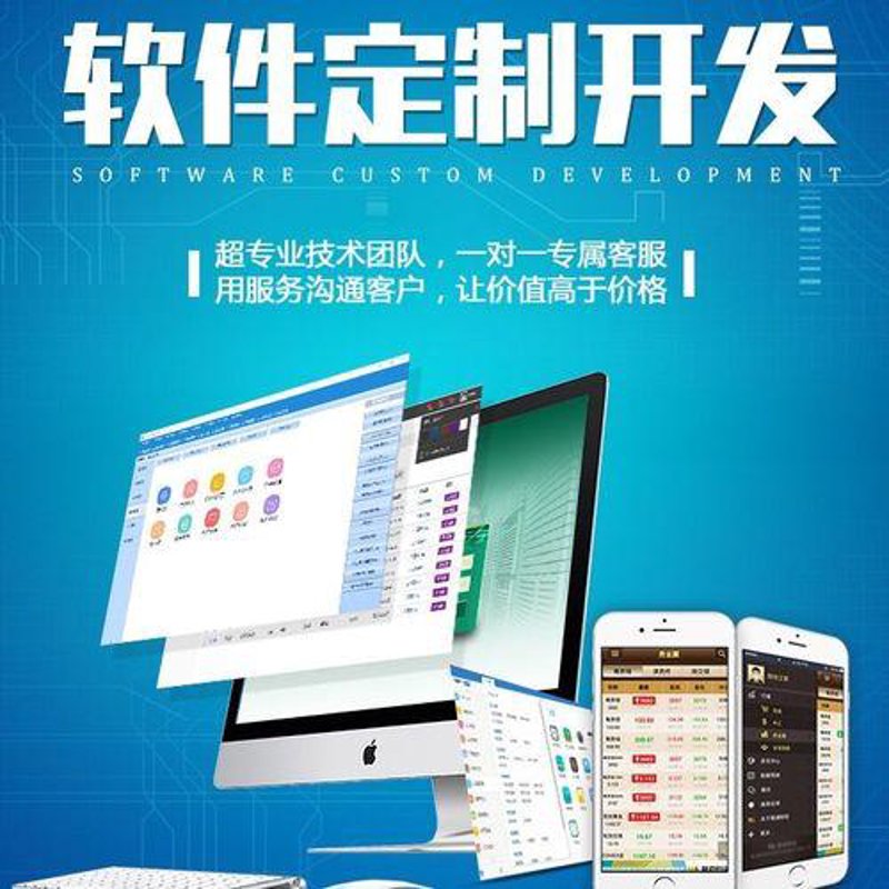 如何选择最适合你的定制软件系统？这是一个值得深思的问题。